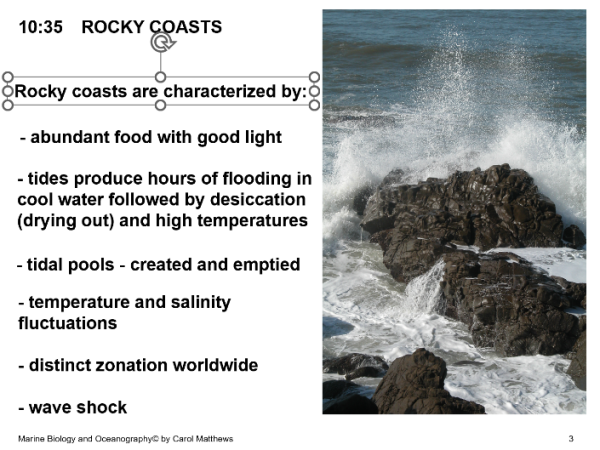 Rocky Coasts – Ocean/Marine Biology Unit 10
