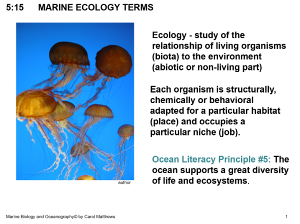 Marine Ecology – Unit 5