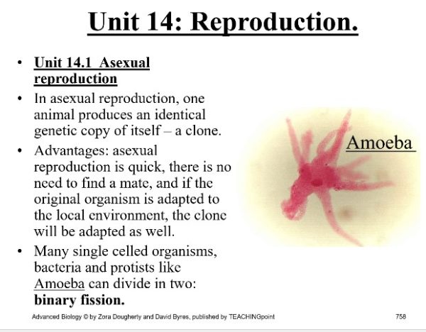 Unit 14: Reproduction $30 (total days: 8, pages 68):