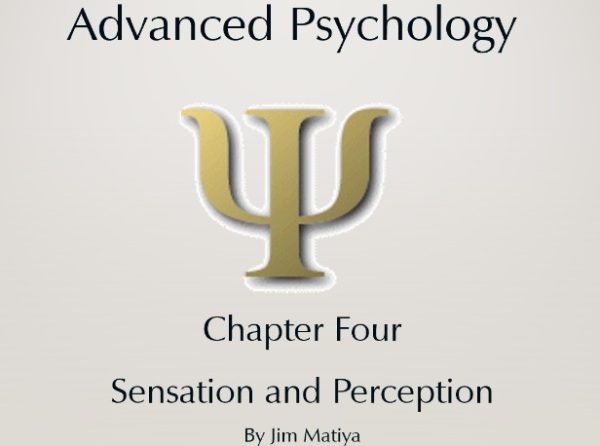 Chapter 4 – Sensation and Perception (Total Days: 7, pages: 154):$30